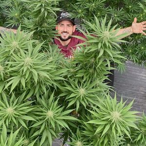 Meet your Posher, Greg